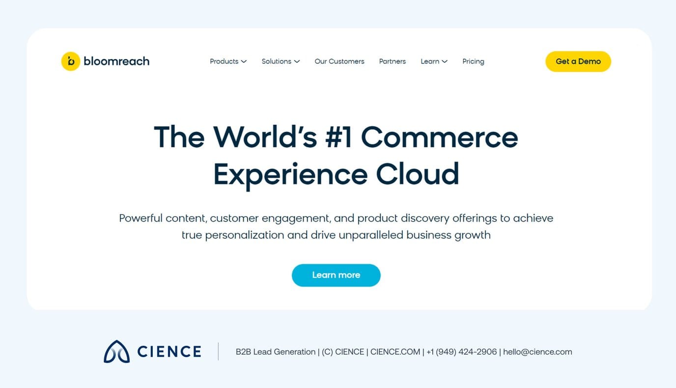 Emarsys omnichannel CDP interface showing AI-optimized segmentation, real-time analytics, and customer lifecycle management for e-commerce and retail
