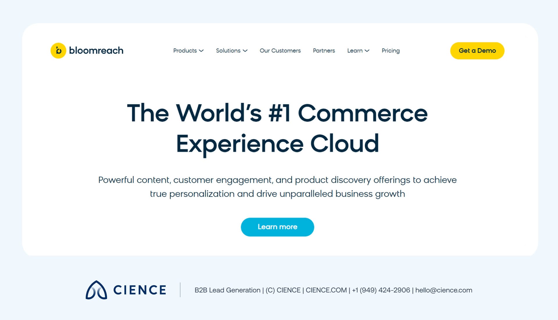 Bloomreach commerce experience platform showing AI-driven search, personalized customer journey tools, and marketing automation for any industry